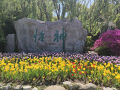 -上海鲜花港