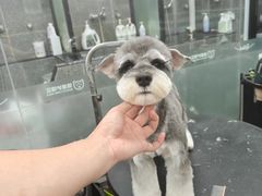 -宠物家(大兴旧宫店)