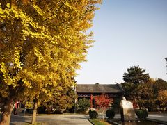-北京鲁迅博物馆(北京新文化运动纪念馆鲁博馆区)