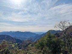 -大岭沟猕猴桃谷风景区
