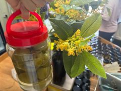 -苏州市吴中区光福窑上花果蜜饯厂