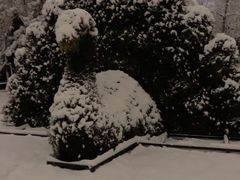 -长白岛森林公园