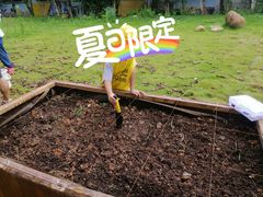 -光明小镇欢乐田园