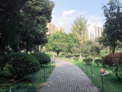 -龙头寺公园