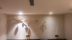 -香秀空间科技抗衰·美容中心