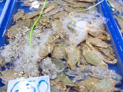 -兰坡海鲜市场