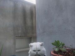 -大洋晶典(东街店)