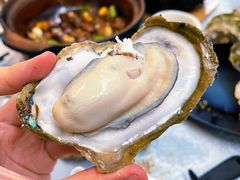 桑拿蠔-天宝食坊·啫啫煲大排档(西华路店)