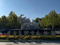 -秦皇岛野生动物园