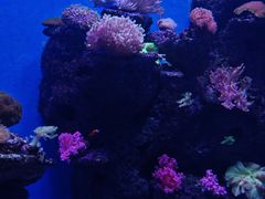 -石家庄极地海洋世界