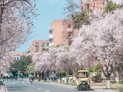 -西南民族大学南区(双流校区)
