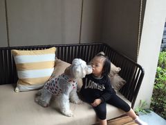 -上海崇明金茂凯悦酒店