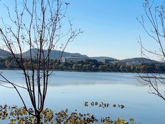-羊山湖公园