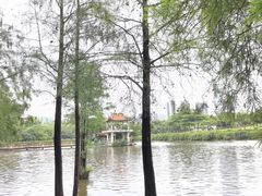 -深圳龙潭公园