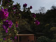 -云溪植物园