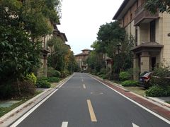 -美的鹭湖森林度假区