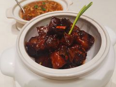 -蝶园·装修中(BFC外滩金融中心店)