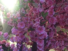 -济南方特东方神画