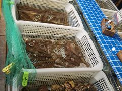 -即墨印象