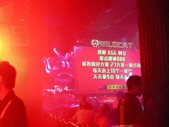 -野猫娱乐空间·酒吧·KTV(南屏店)