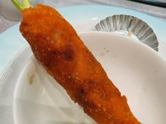 -丁老爷子苏香圆