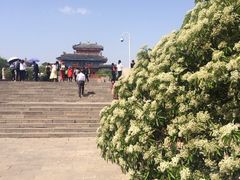 -洛阳古墓博物馆