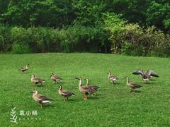 -翠湖国家城市湿地公园