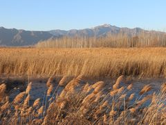 -野鸭湖国家湿地公园