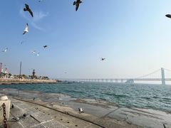 -星海广场