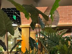 -帕娜·泰式茶餐厅·Bistro(近铁广场店)