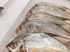 -Isla Sugbu Seafood City