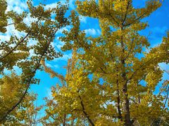 -狼山风景名胜区