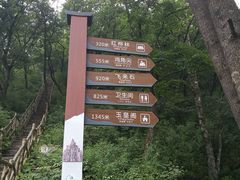 -洛阳白云山景区
