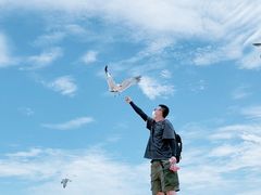 -海驴岛(荣成市)
