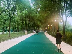 -巴厘龙虾·榜首油焖大虾(洞庭·艺术洋房店)