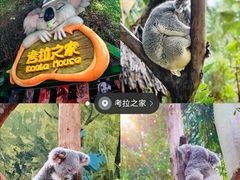 -广州长隆欢乐世界