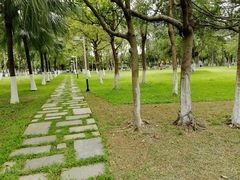 -南沙蒲洲花园