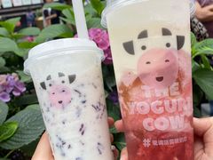 -一只酸奶牛(八一路店)