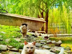 -元大都城垣遗址公园