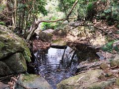 -梧桐山风景名胜区