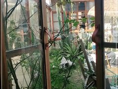 -Jo's Garden