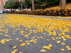 -南山健身公园