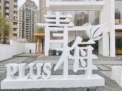 -青梅酒肆PLUS(长白仙岛北路店)