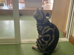 -藦茜花园宠物主题亲子互动体验馆(国顺东路店)