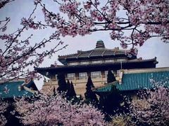 -武汉大学-樱园