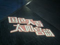 -太阳宫公园