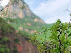 -云台山风景名胜区