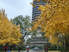 -玲珑塔公园