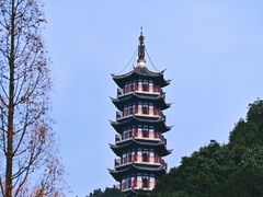 -黄贤森林公园