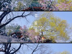 -北海公园